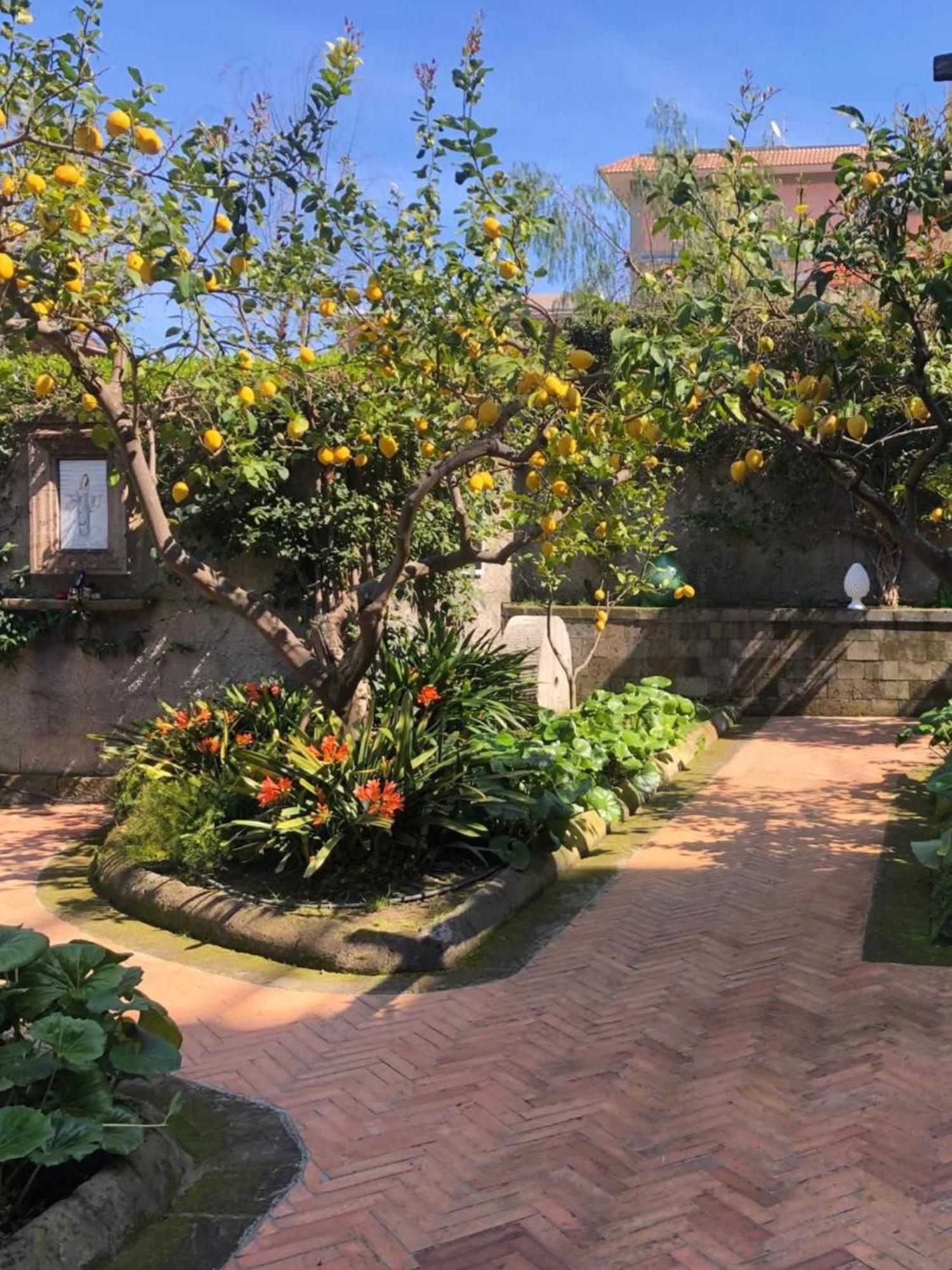 Suite Lidia B&B Сорренто Екстер'єр фото